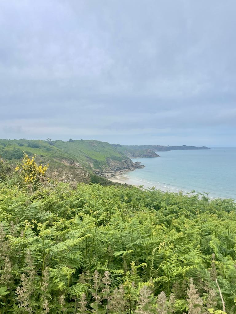 Découvrez les falaises de Plouha et ses panoramas à couper le souffle