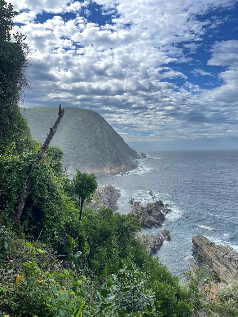 Ne ratez pas le parc national de Tsitsikamma avec ses paysages à couper le souffle