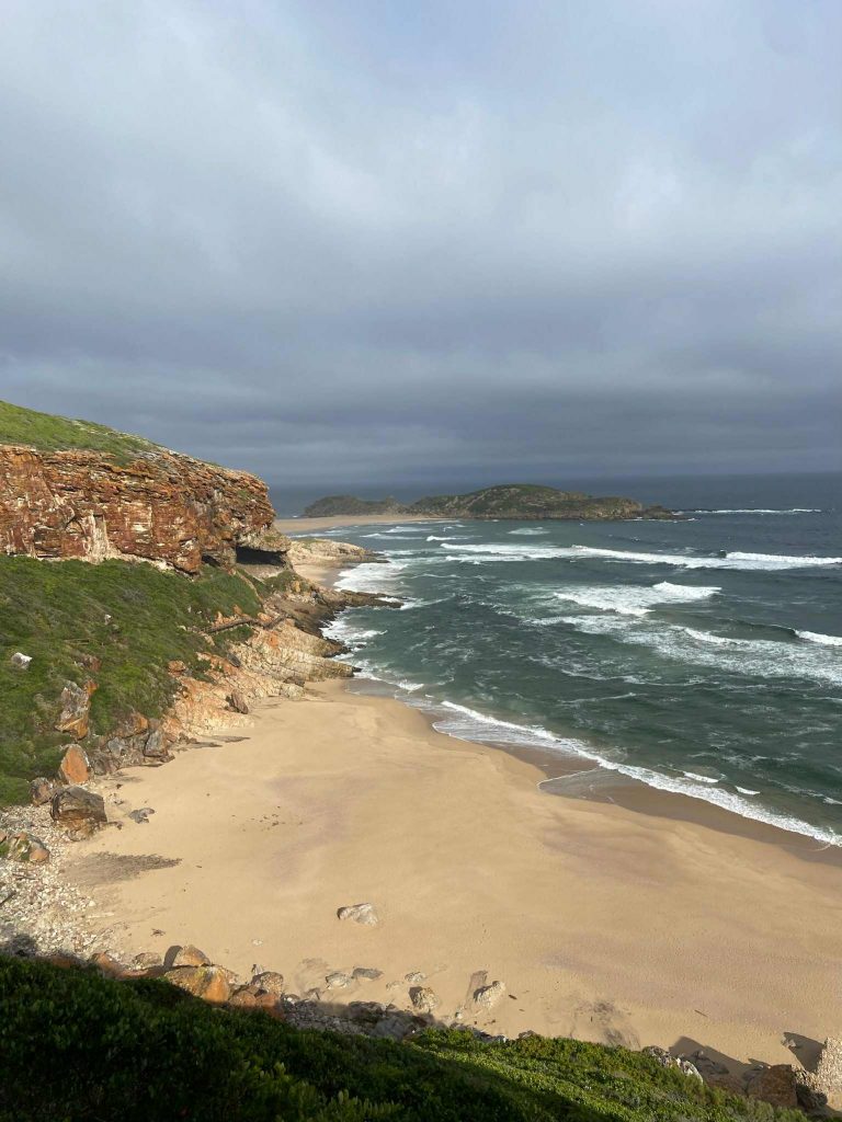 Découvrez la réserve de Robberg à Plettenberg Bay et observez les phoques