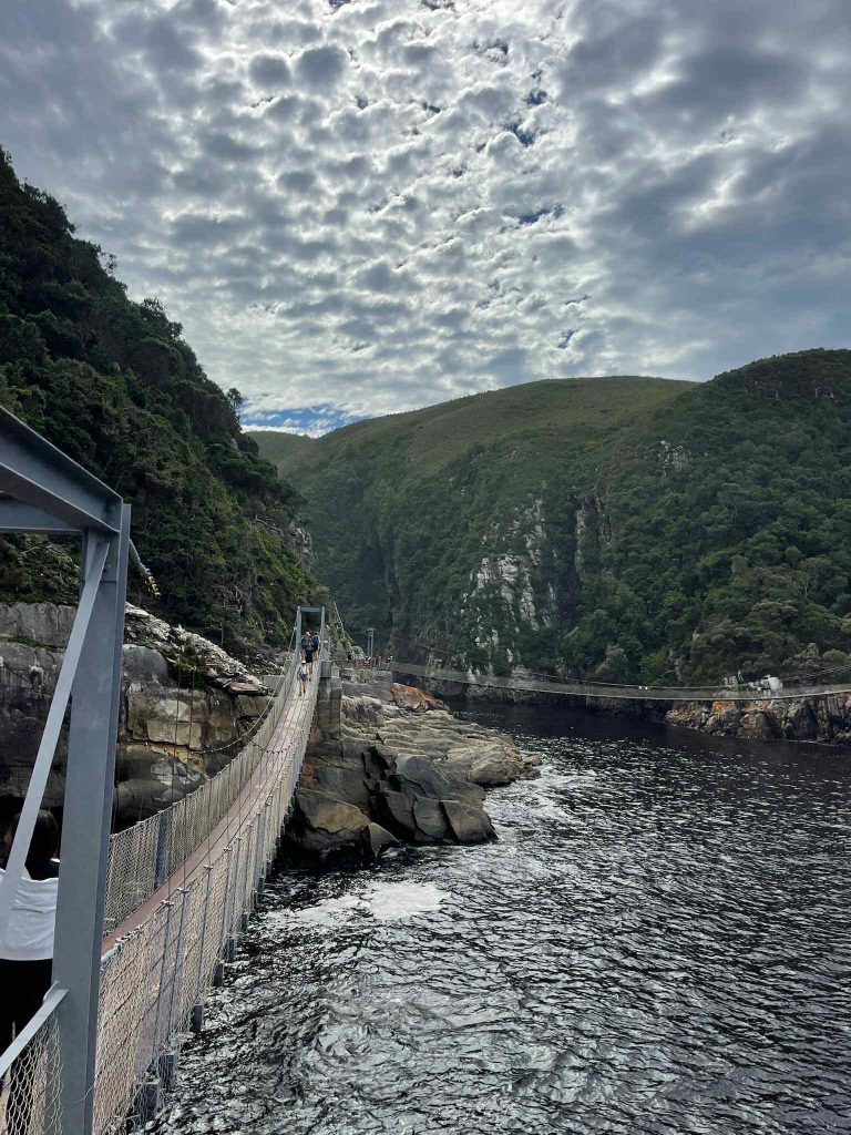 Découvrez un pont suspendu au-dessus de la mer au parc national de Tsitsikamma