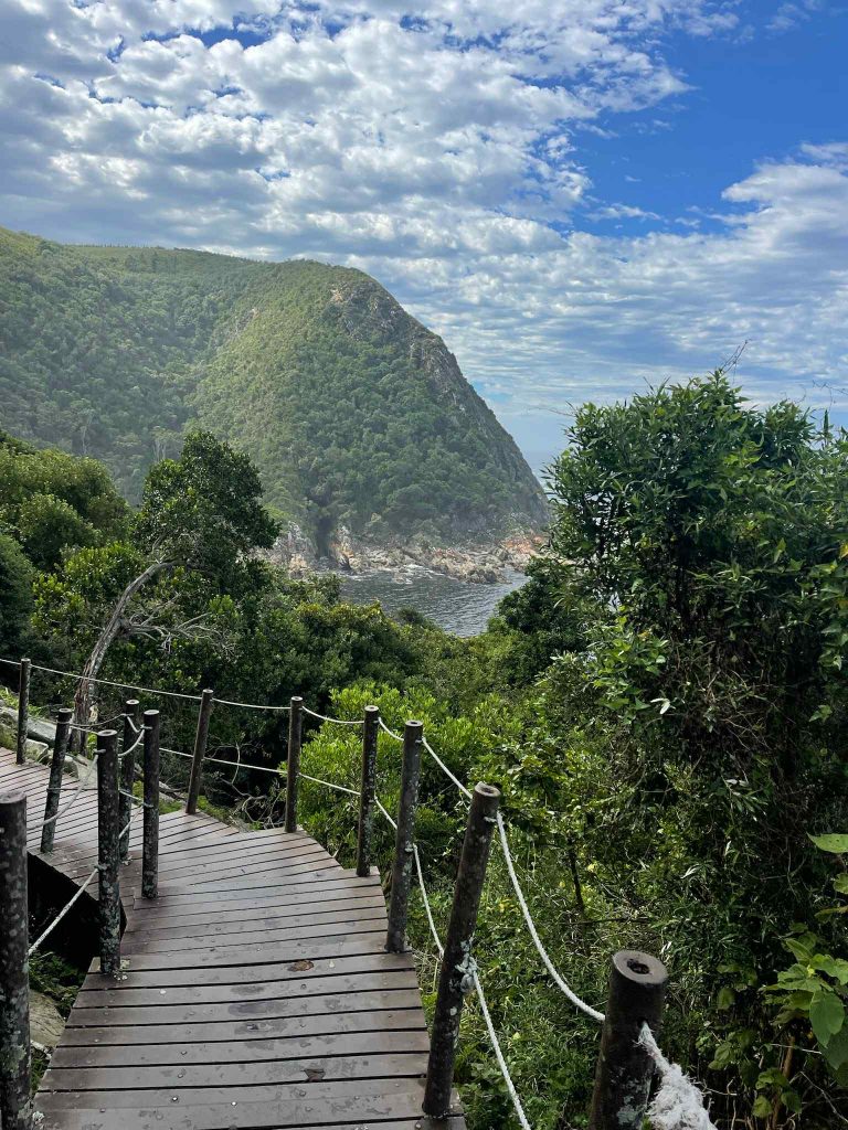 Découvrez un paysage unique, entre Entre mer et forêt tropicale