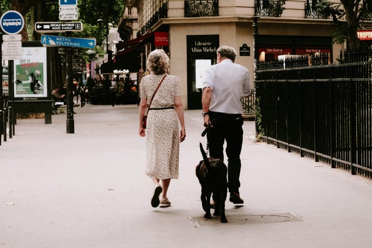 Lire la suite à propos de l’article 🐕 Paris avec son Chien : Guide des Lieux Dog-Friendly