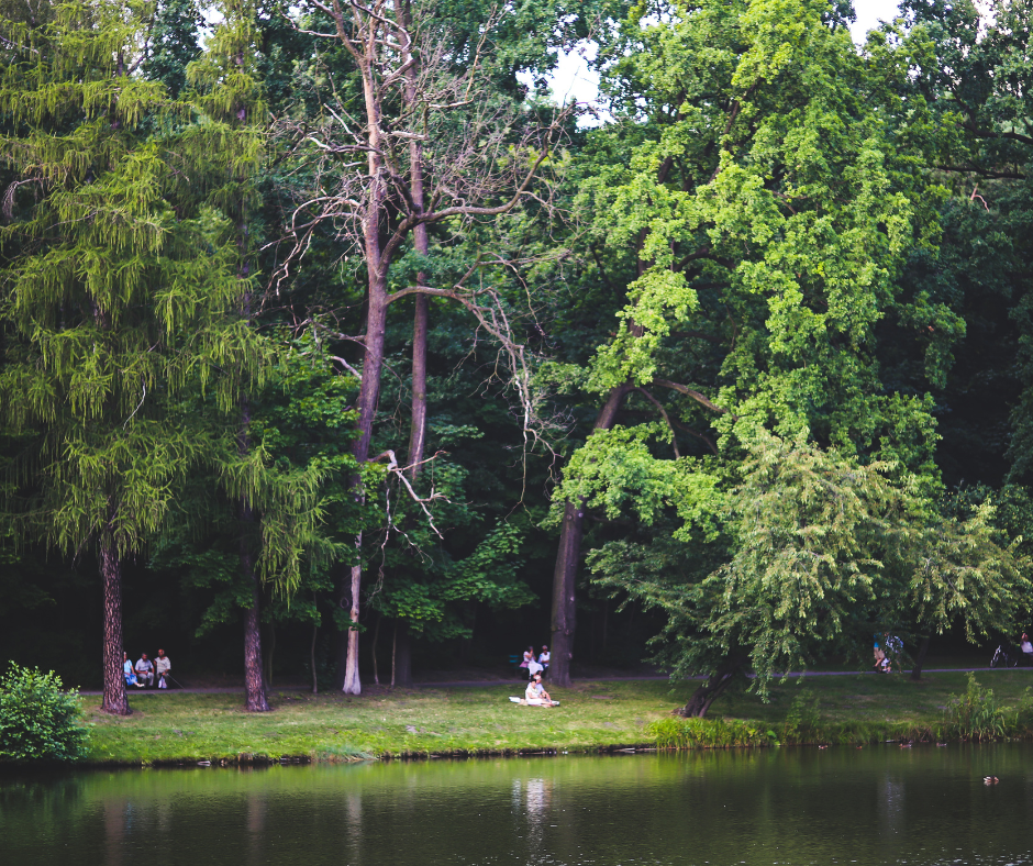 Se promener dans le bois de Vincennes à Paris avec son chien, c'est possible