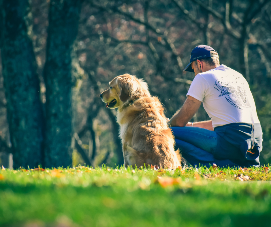 Où faire une pause à Paris dans un parc avec les chiens acceptés
