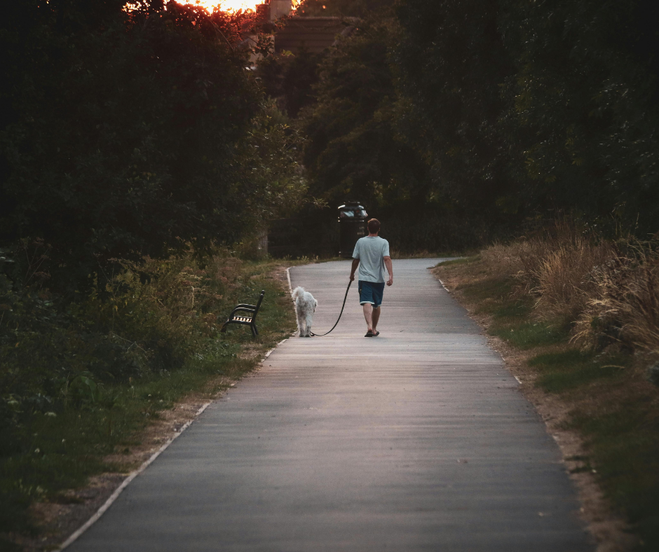 balade en laisse avec son chien dans des parcs à Paris