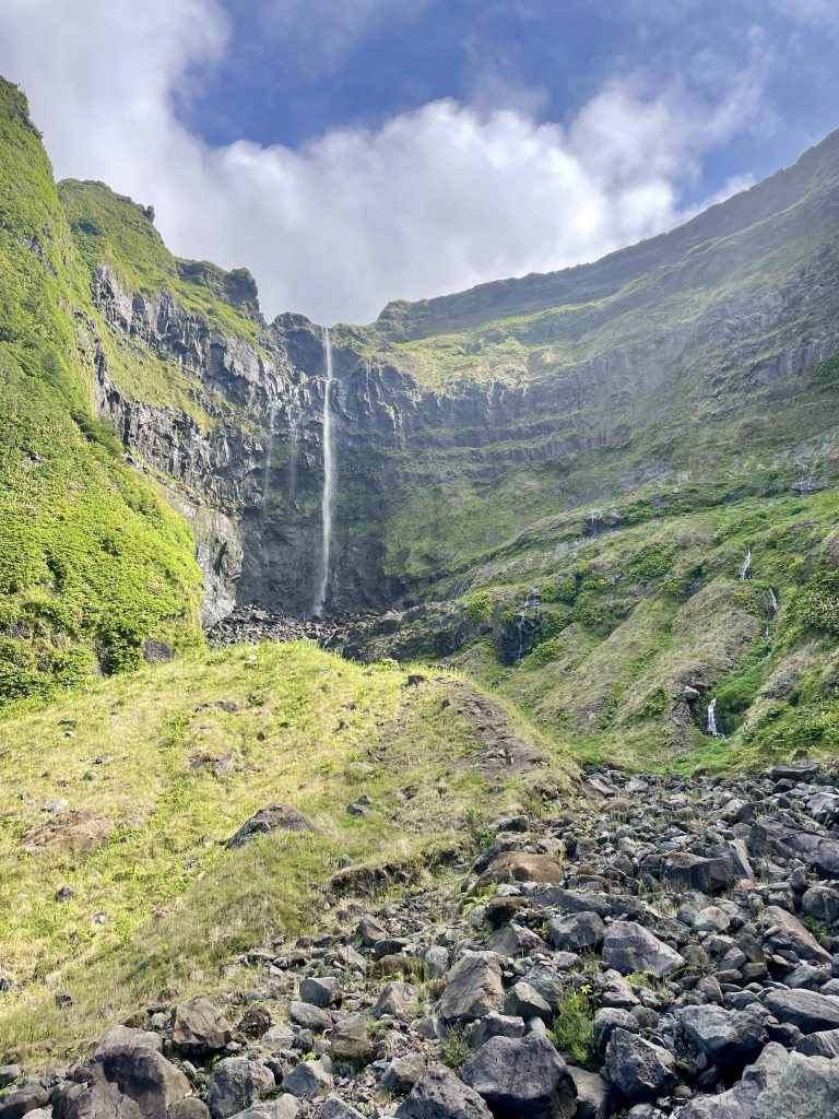 Découvrez les cascades de flores au coeur d'une nature verdoyante
