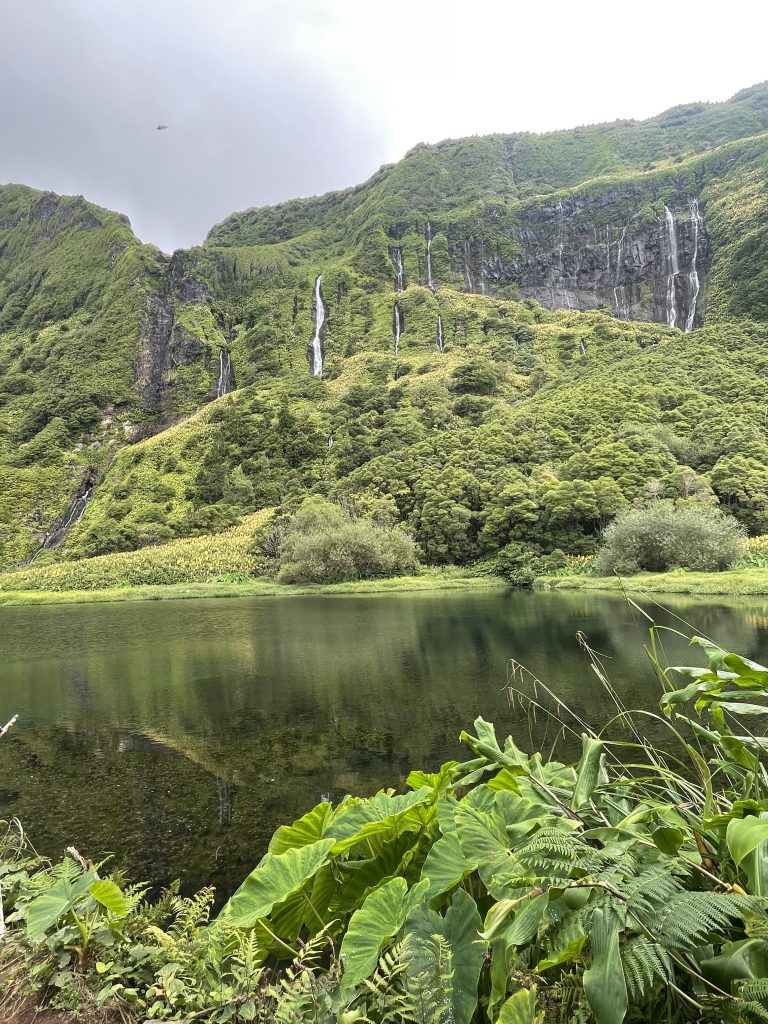 Découvrez l'île de Flores aux Acores, sauvage et hors du temps