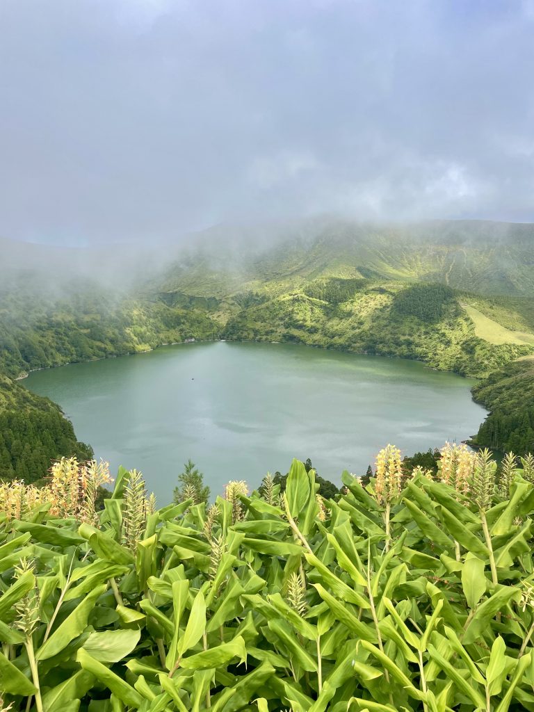 Ne manquez pas les plus belles randonnées de Flores