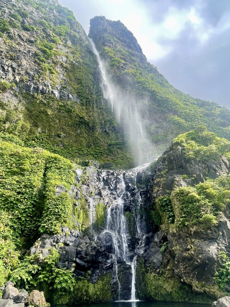 Découvrez la nature à couper le souffle de Flores