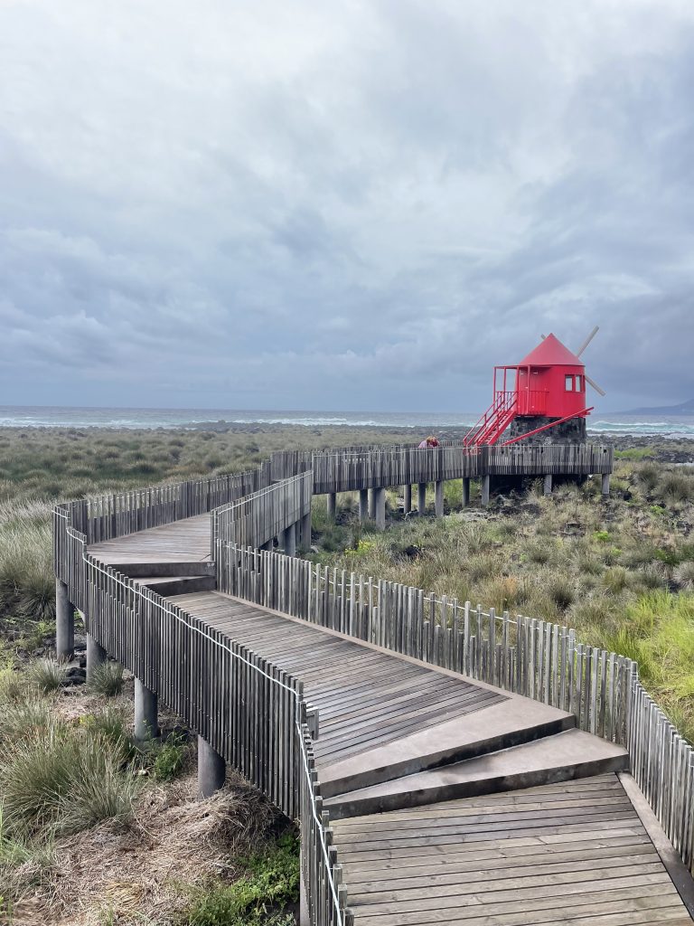 Découvrez les célèbres moulins rouges de Pico