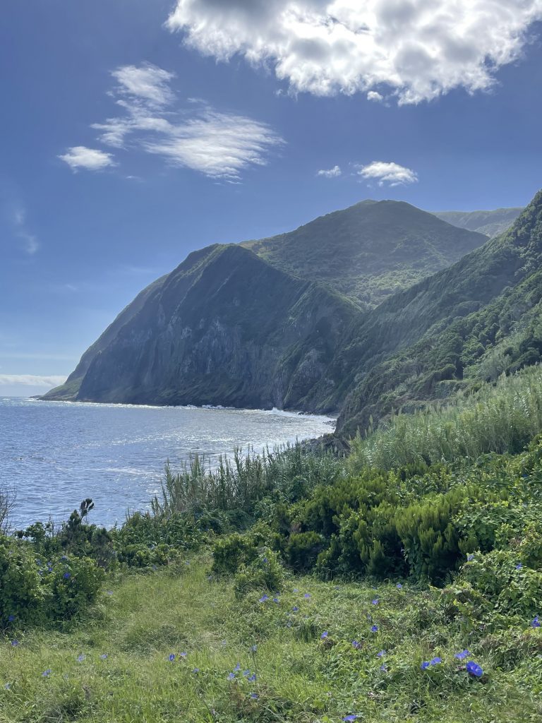 Découvrez Fajã da Caldeira de Santo Cristo, un joyaux de Sao Jorge