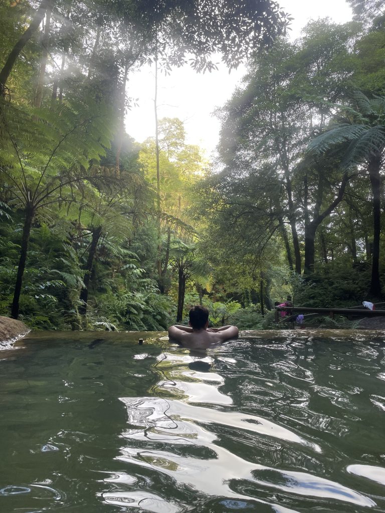 Détendez-vous dans les sources d'eau chaude de Sao Miguel