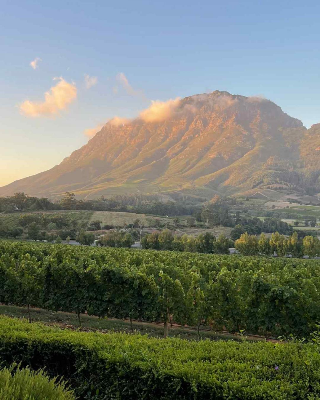 Découvrez le domaine Delaire Graff à Stellenbosh, au coeur des montagnes
