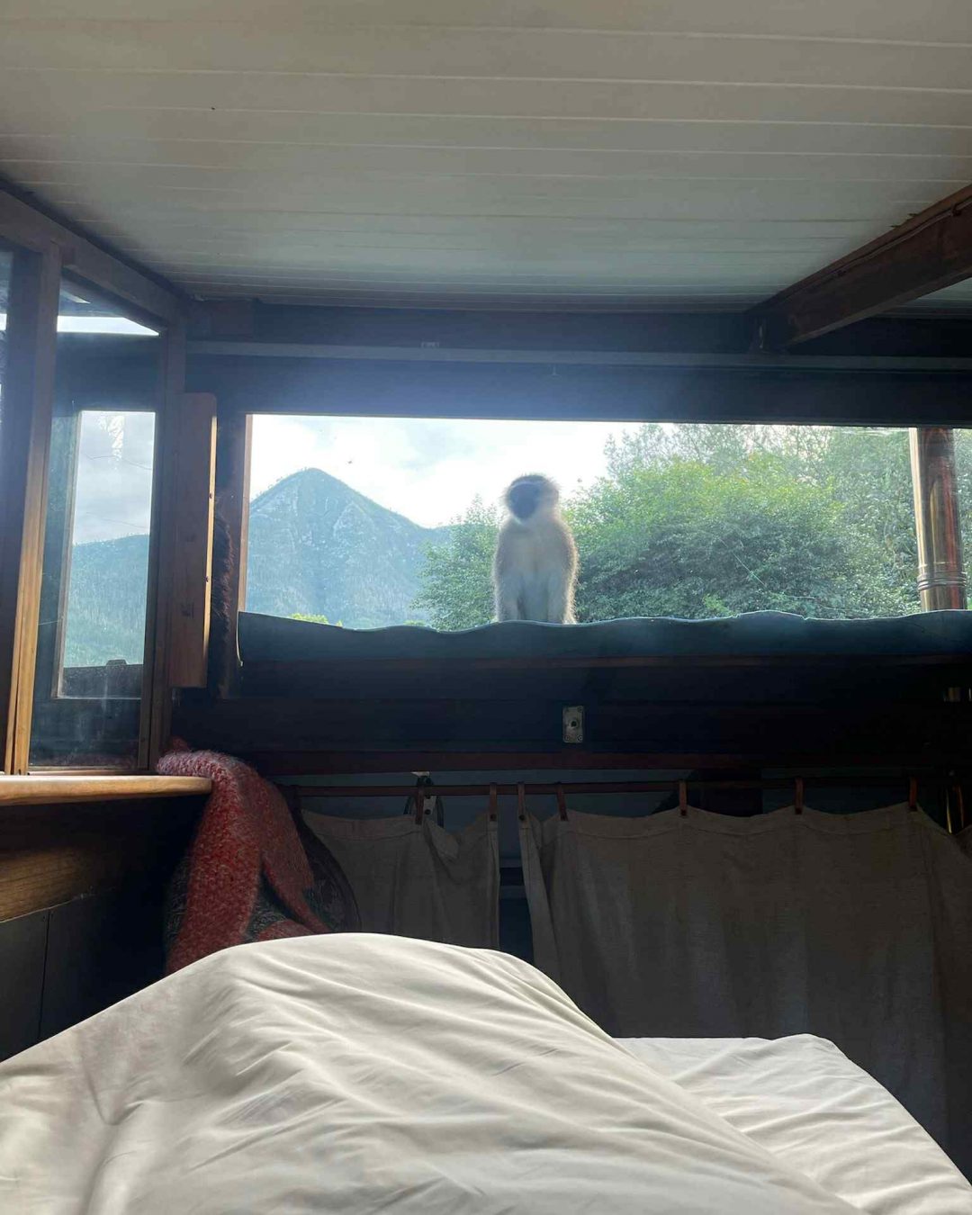 Trouvez le logement idéal avec un réveil unique au milieu de la faune et flore sauvage