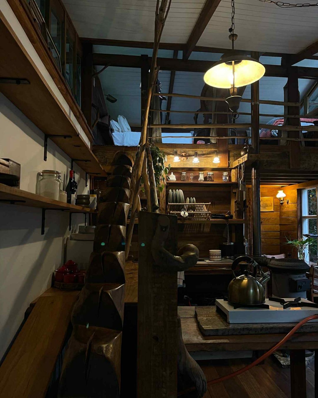 Logement au milieu de la forêt tropicale de Tsitsikamma sur la Garden route