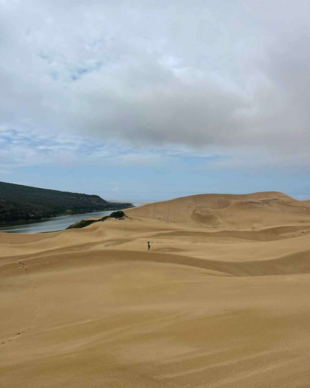 Ne manquez pas les Dunes d'Alexandria, des dunes de sable entourées de mer